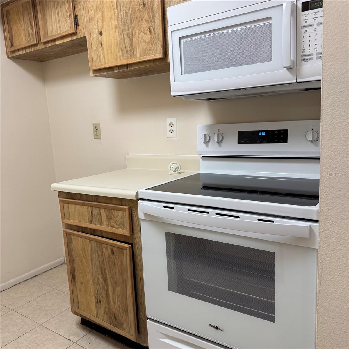4033 DREAM OAK PL #101, TAMPA, FL, 33613
