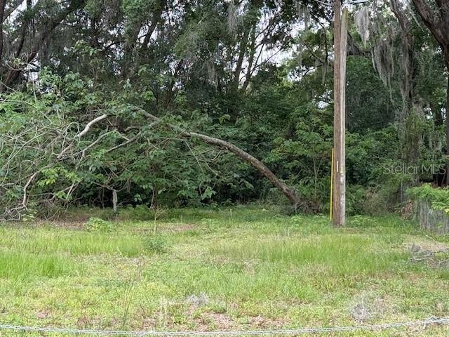 412 YORK ST, WILDWOOD, FL, 34785