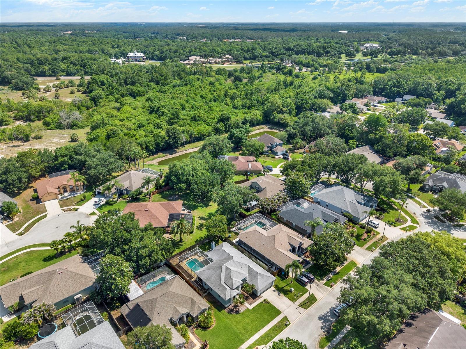 3165 PRIDES XING, TARPON SPRINGS, FL, 34688