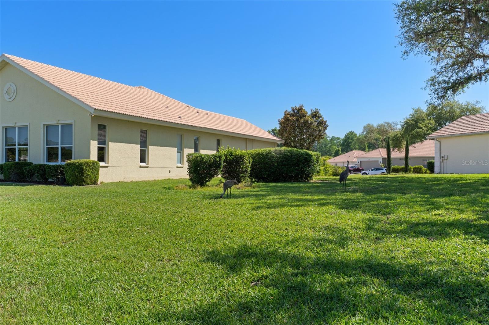 10081 GEORGETOWN CT, WEEKI WACHEE, FL, 34613