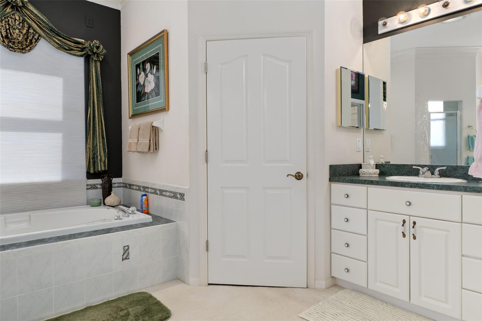 10081 GEORGETOWN CT, WEEKI WACHEE, FL, 34613
