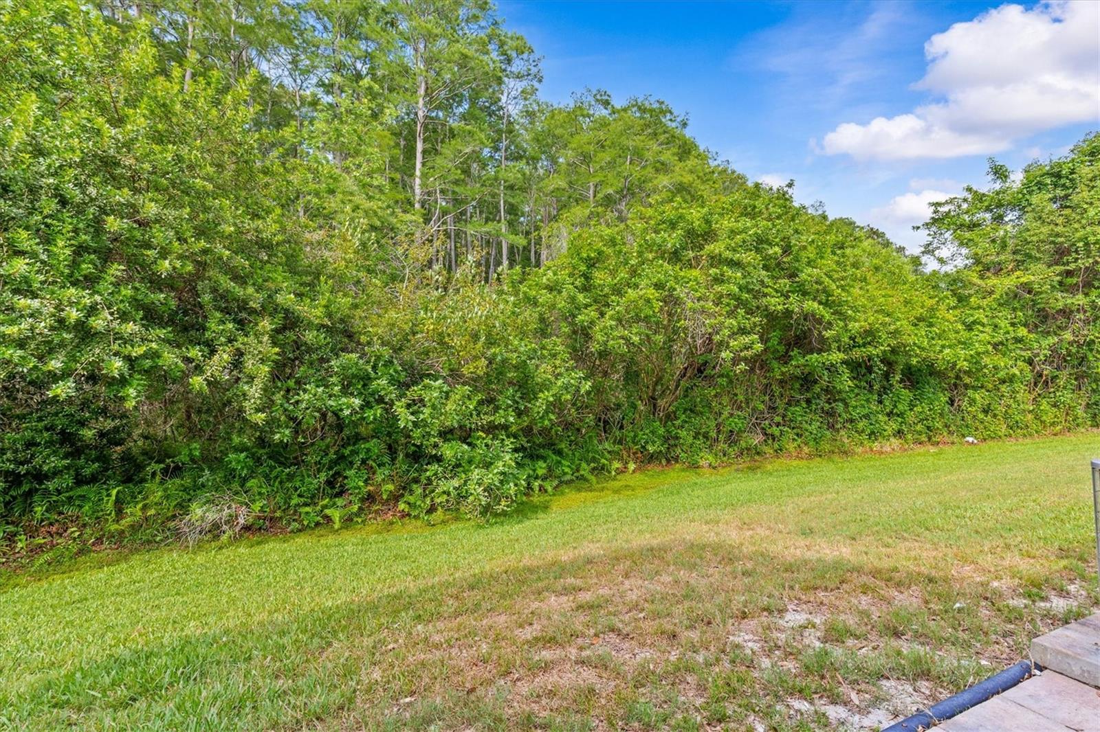 2169 FOX CHASE BLVD, PALM HARBOR, FL, 34683