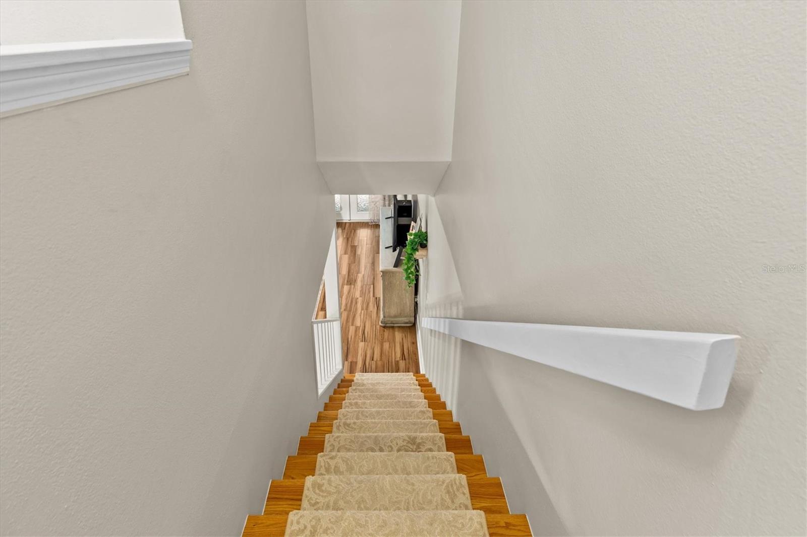 2169 FOX CHASE BLVD, PALM HARBOR, FL, 34683