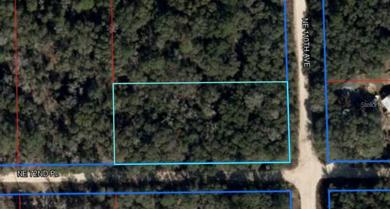 NE 110TH AVE, BRONSON, FL, 32621