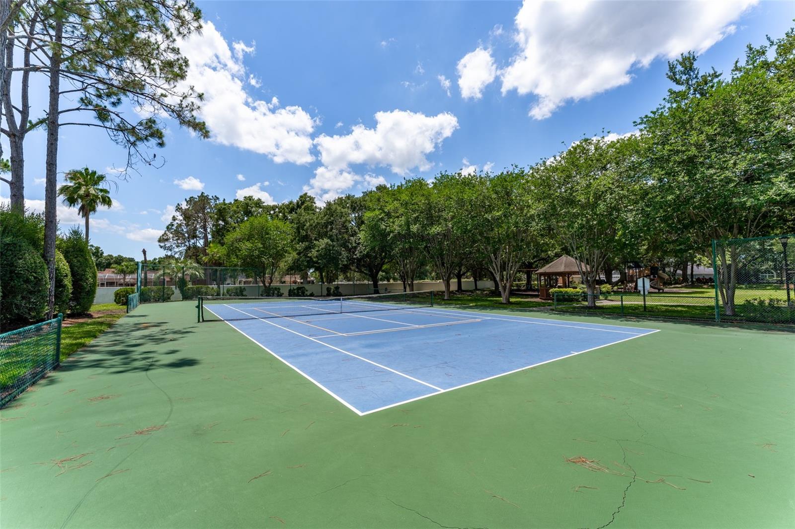 15303 HIDDEN ARBOR CT, ODESSA, FL, 33556