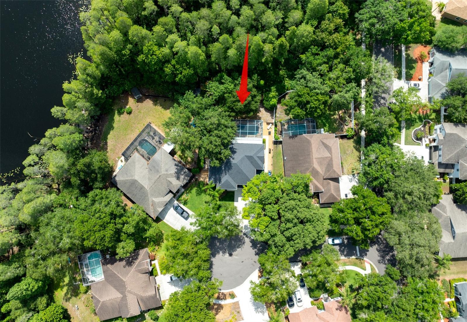 15303 HIDDEN ARBOR CT, ODESSA, FL, 33556