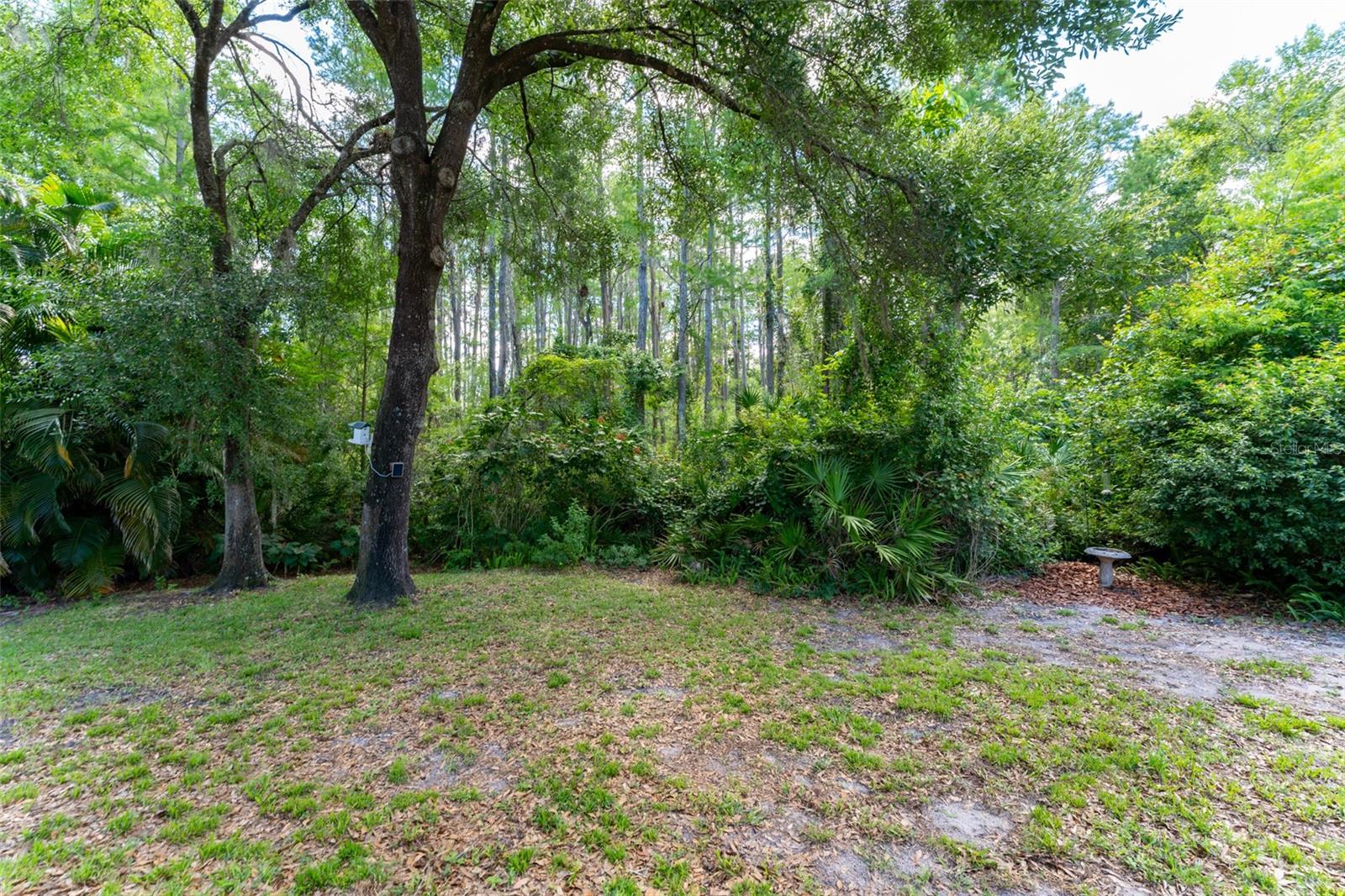 15303 HIDDEN ARBOR CT, ODESSA, FL, 33556