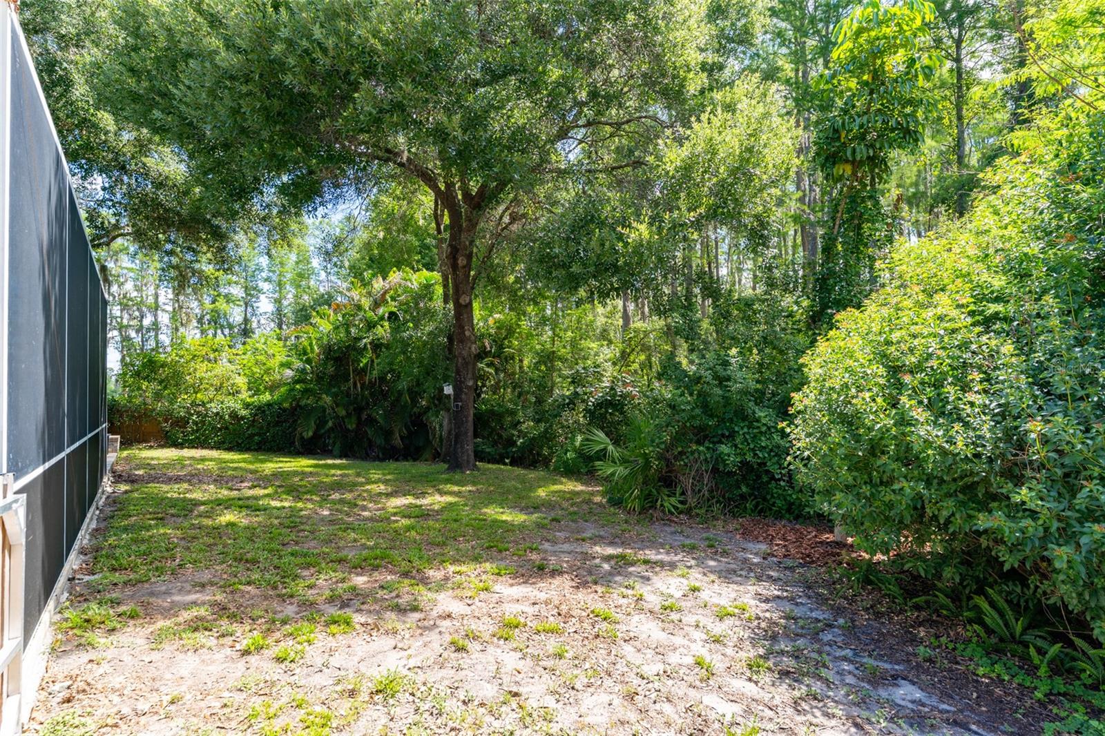 15303 HIDDEN ARBOR CT, ODESSA, FL, 33556