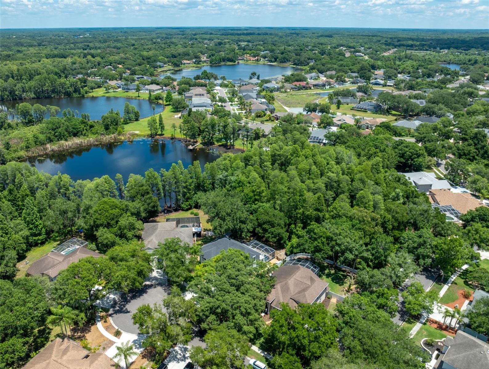15303 HIDDEN ARBOR CT, ODESSA, FL, 33556