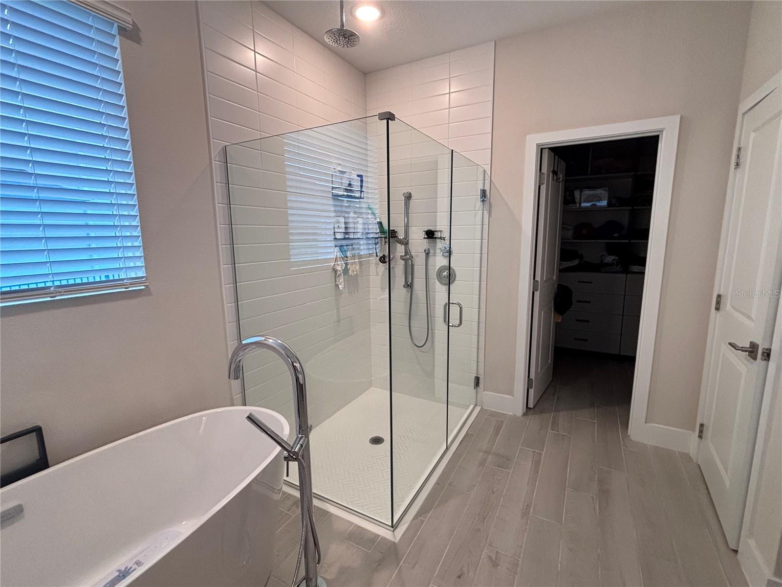 873 GREEN ENGLISH ST, APOPKA, FL, 32703