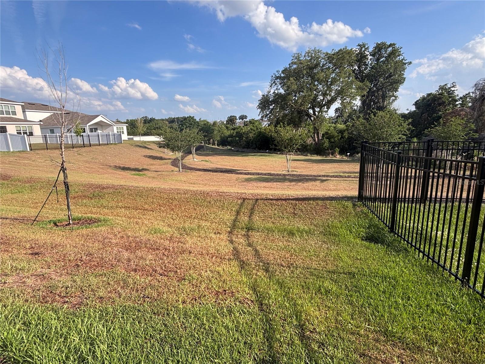 873 GREEN ENGLISH ST, APOPKA, FL, 32703