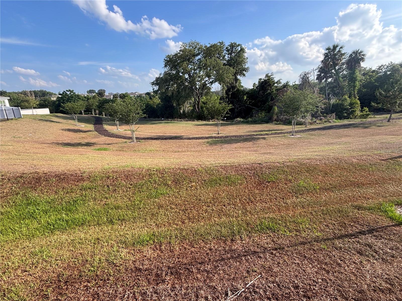 873 GREEN ENGLISH ST, APOPKA, FL, 32703