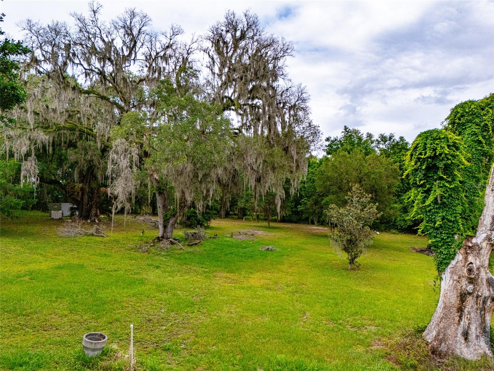 8845 NW 130TH ST, REDDICK, FL, 32686