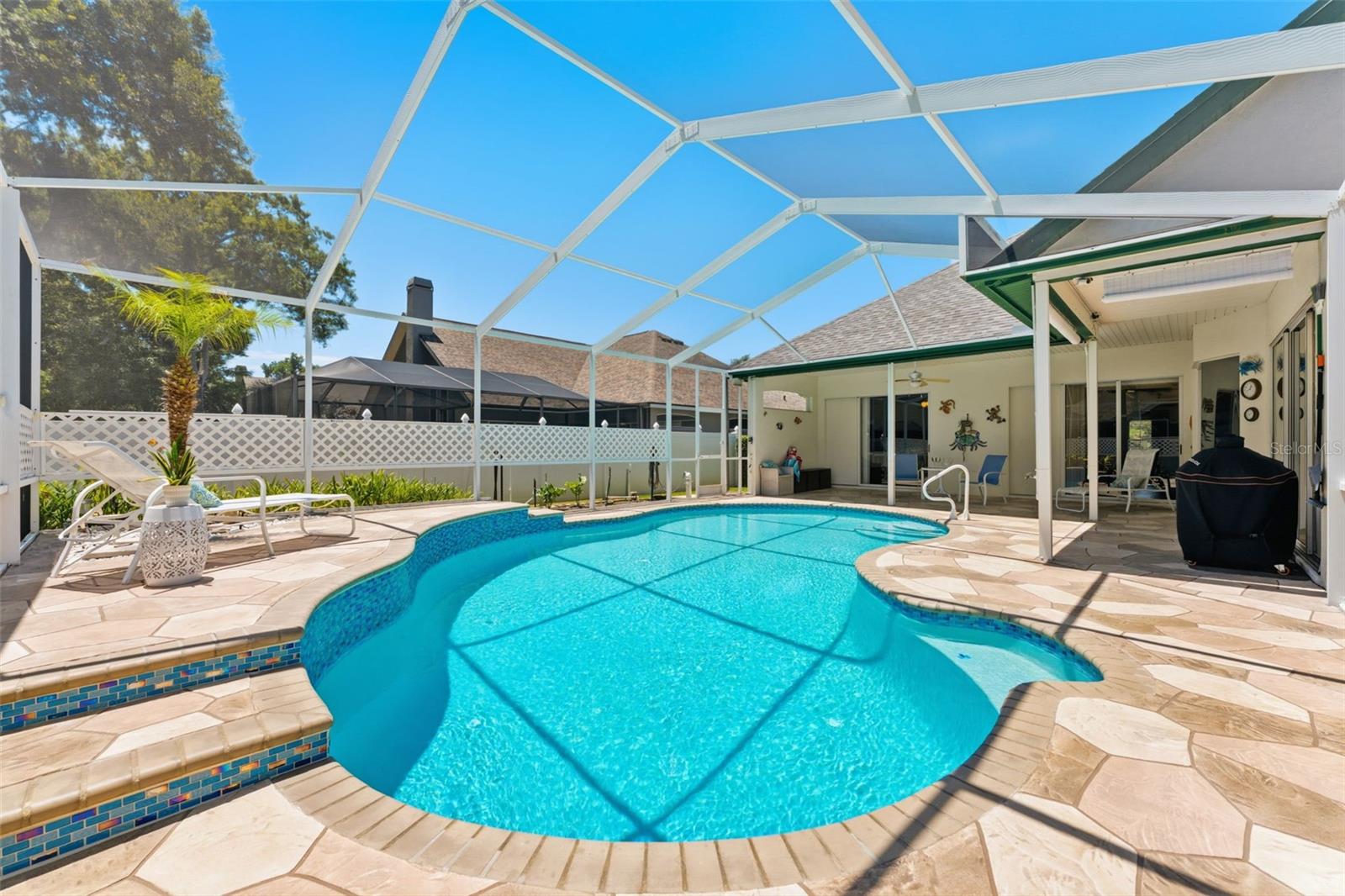 3406 SYLVAN SHADOW ST, VALRICO, FL, 33596