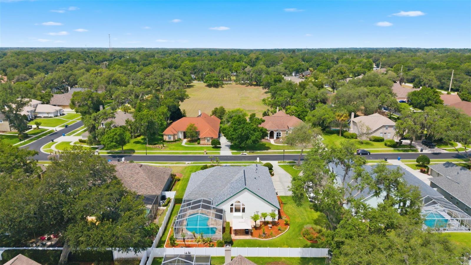 3406 SYLVAN SHADOW ST, VALRICO, FL, 33596