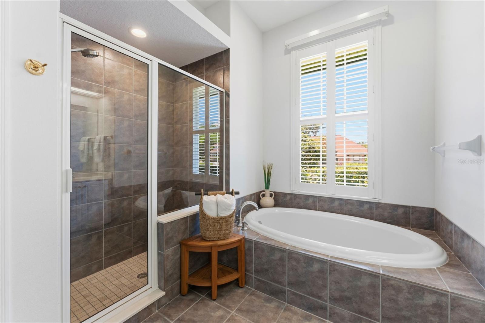 3406 SYLVAN SHADOW ST, VALRICO, FL, 33596