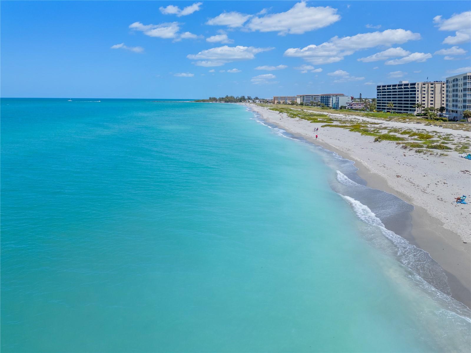 555 THE ESPLANADE N #1003, VENICE, FL, 34285