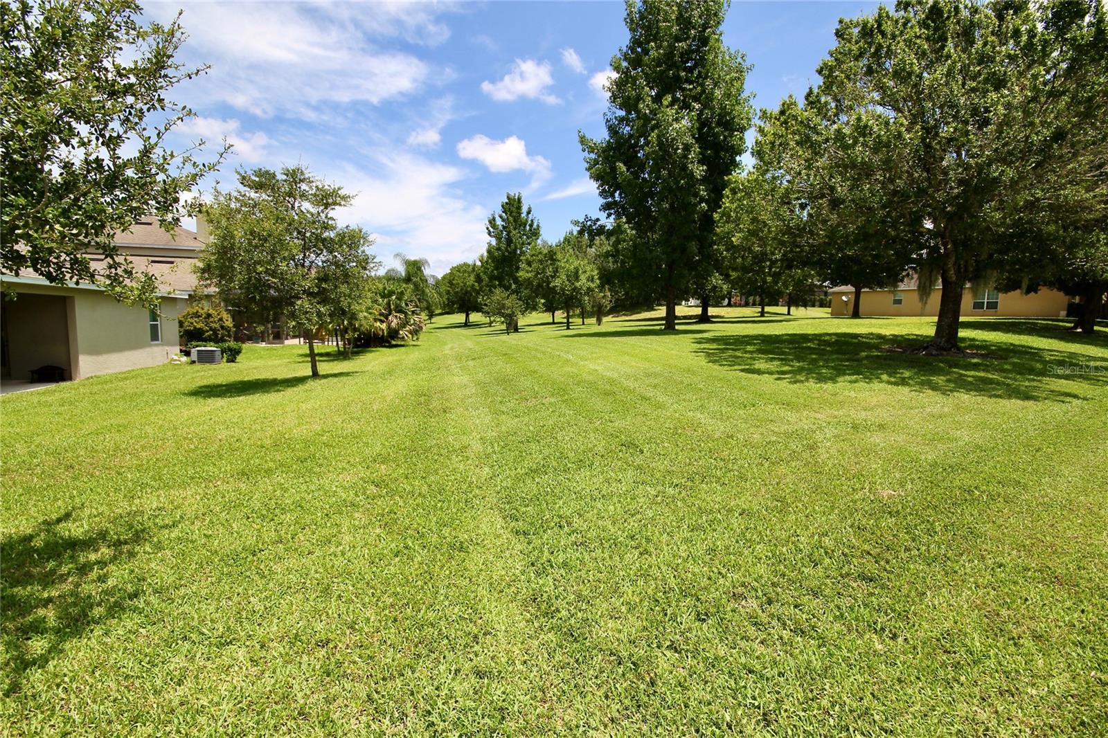 1073 CAVAN DR, APOPKA, FL, 32703