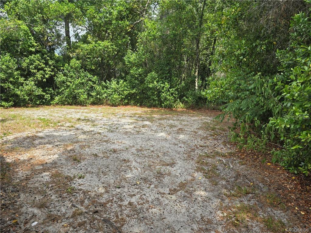 1 HOLLY CT, HOMOSASSA, FL, 34446