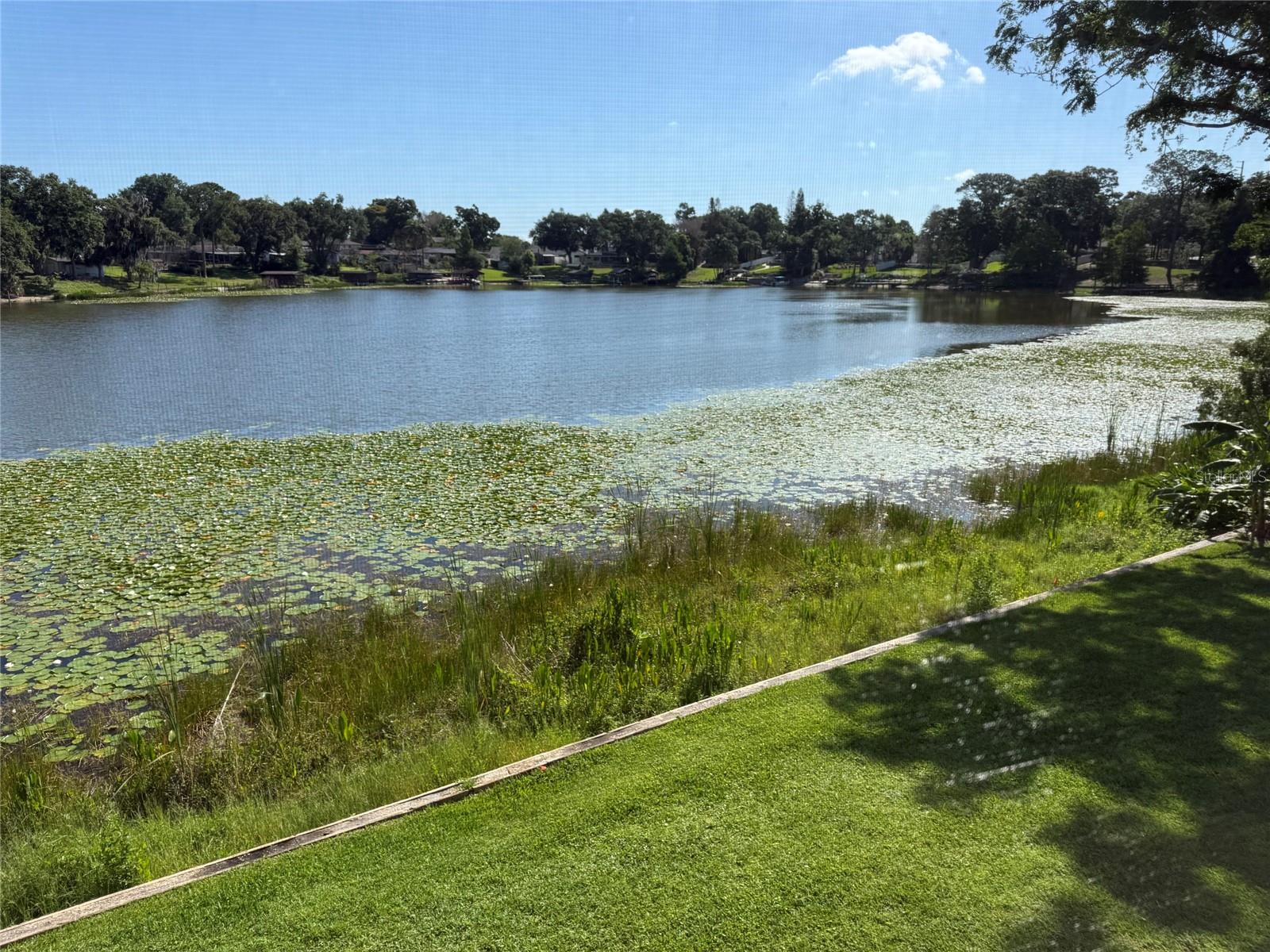 410 E ORLANDO AVE #19A, OCOEE, FL, 34761