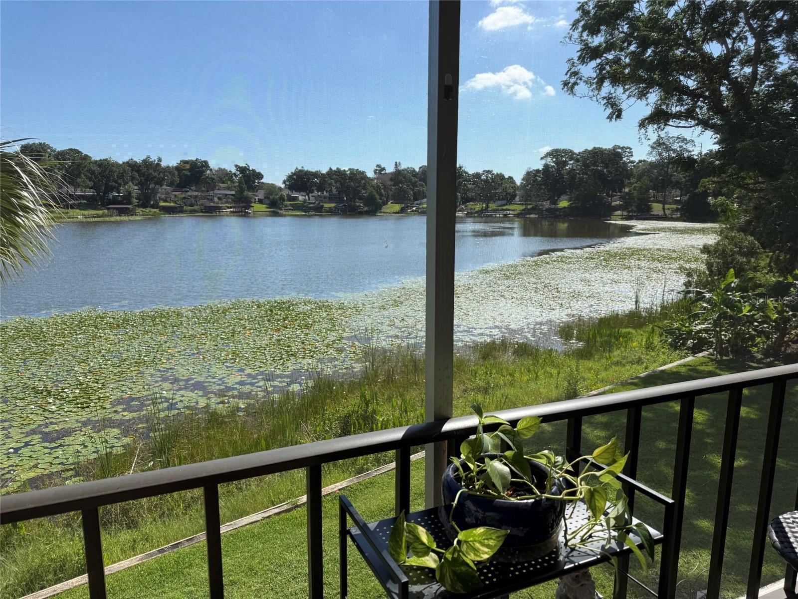 410 E ORLANDO AVE #19A, OCOEE, FL, 34761