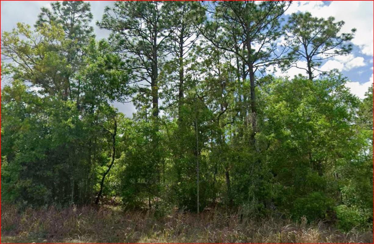 11016 N MATARO AVE, CITRUS SPRINGS, FL, 34434
