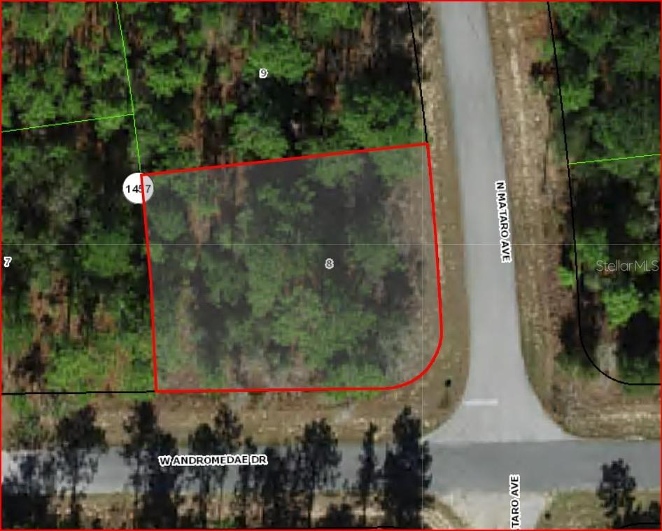 11016 N MATARO AVE, CITRUS SPRINGS, FL, 34434