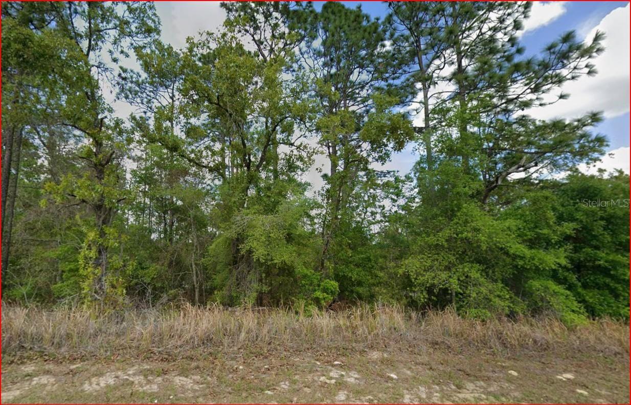 11016 N MATARO AVE, CITRUS SPRINGS, FL, 34434