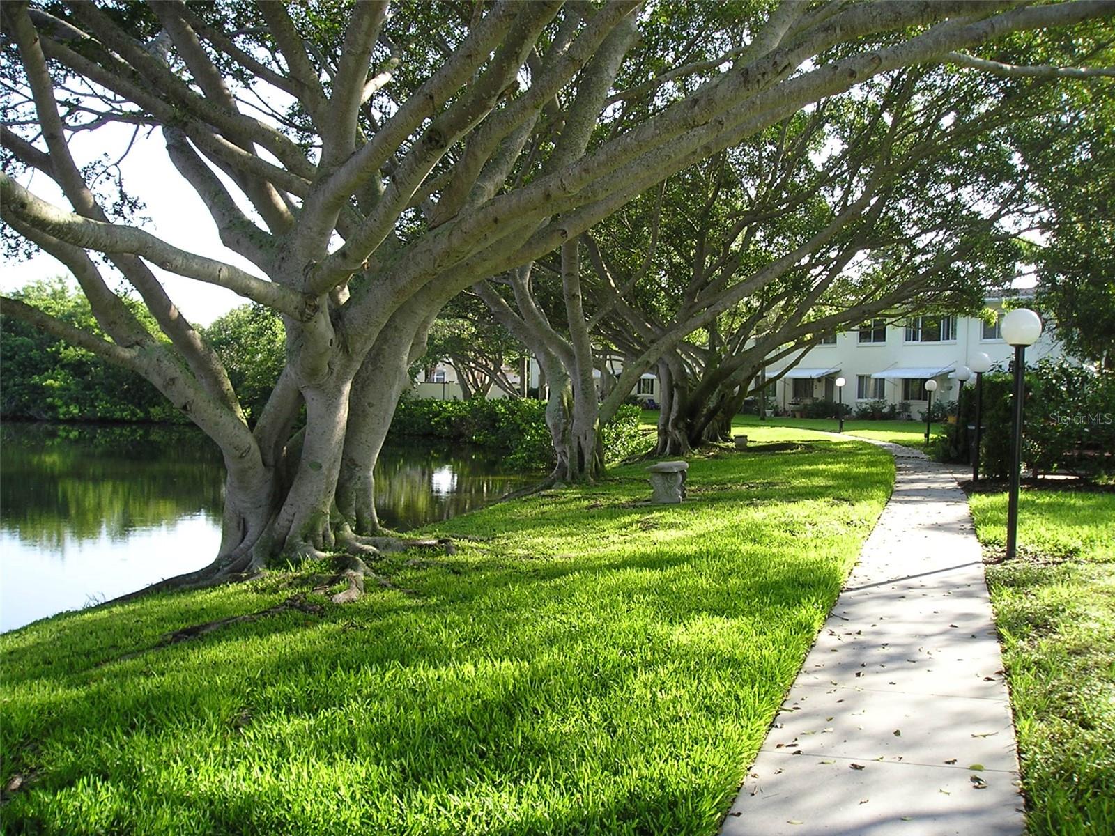 4570 OVERLOOK DR NE #283, ST PETERSBURG, FL, 33703
