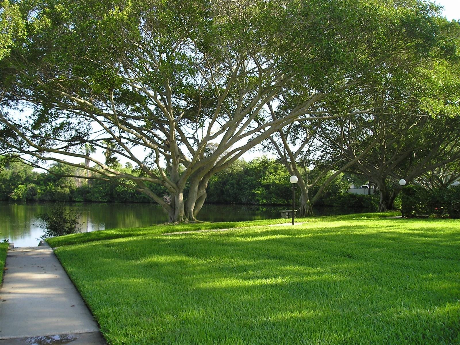 4570 OVERLOOK DR NE #283, ST PETERSBURG, FL, 33703