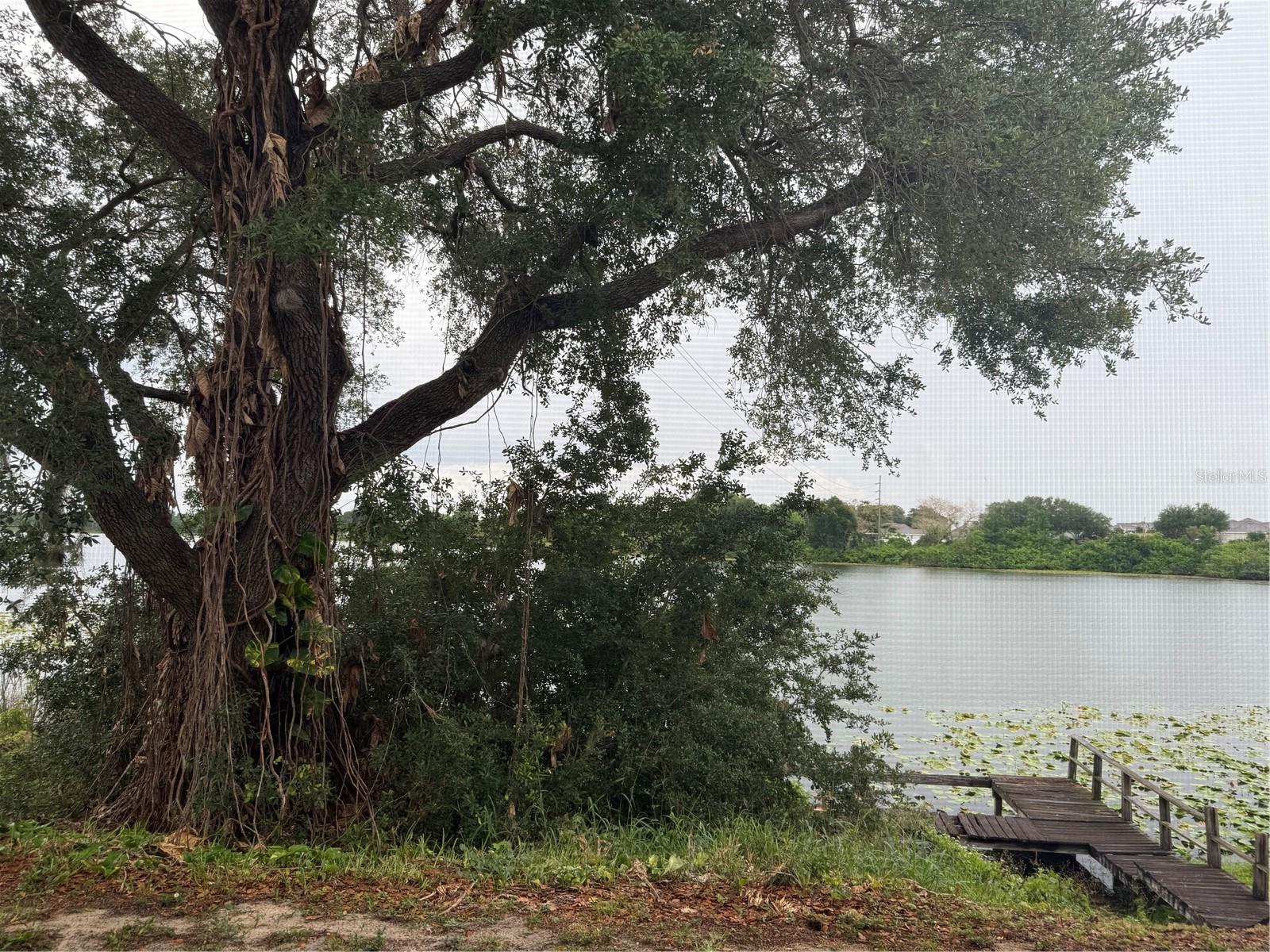 702 COUNTRY LN NE #702, WINTER HAVEN, FL, 33881