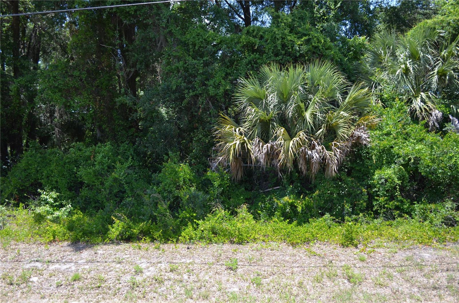US HWY 301, CITRA, FL, 32113