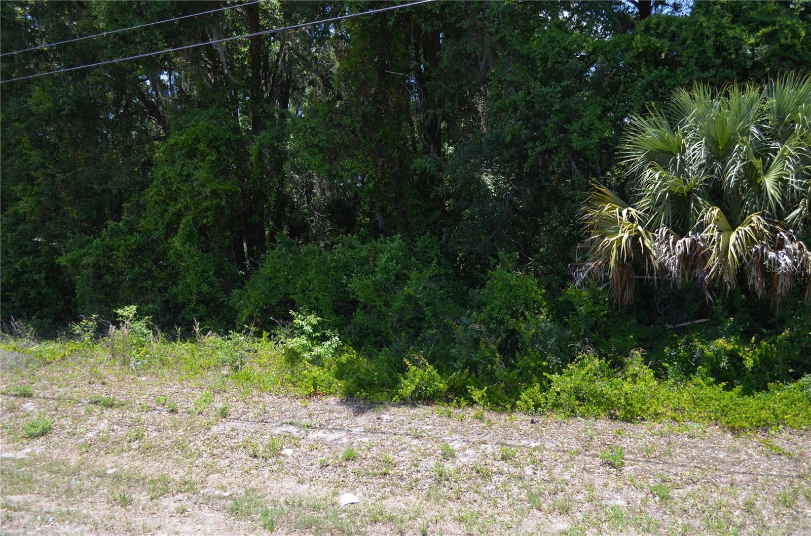 US HWY 301, CITRA, FL, 32113