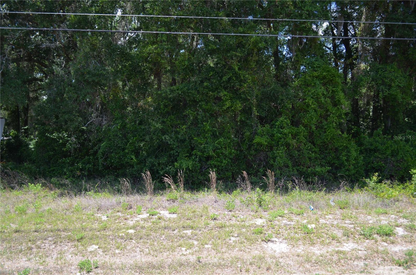 US HWY 301, CITRA, FL, 32113