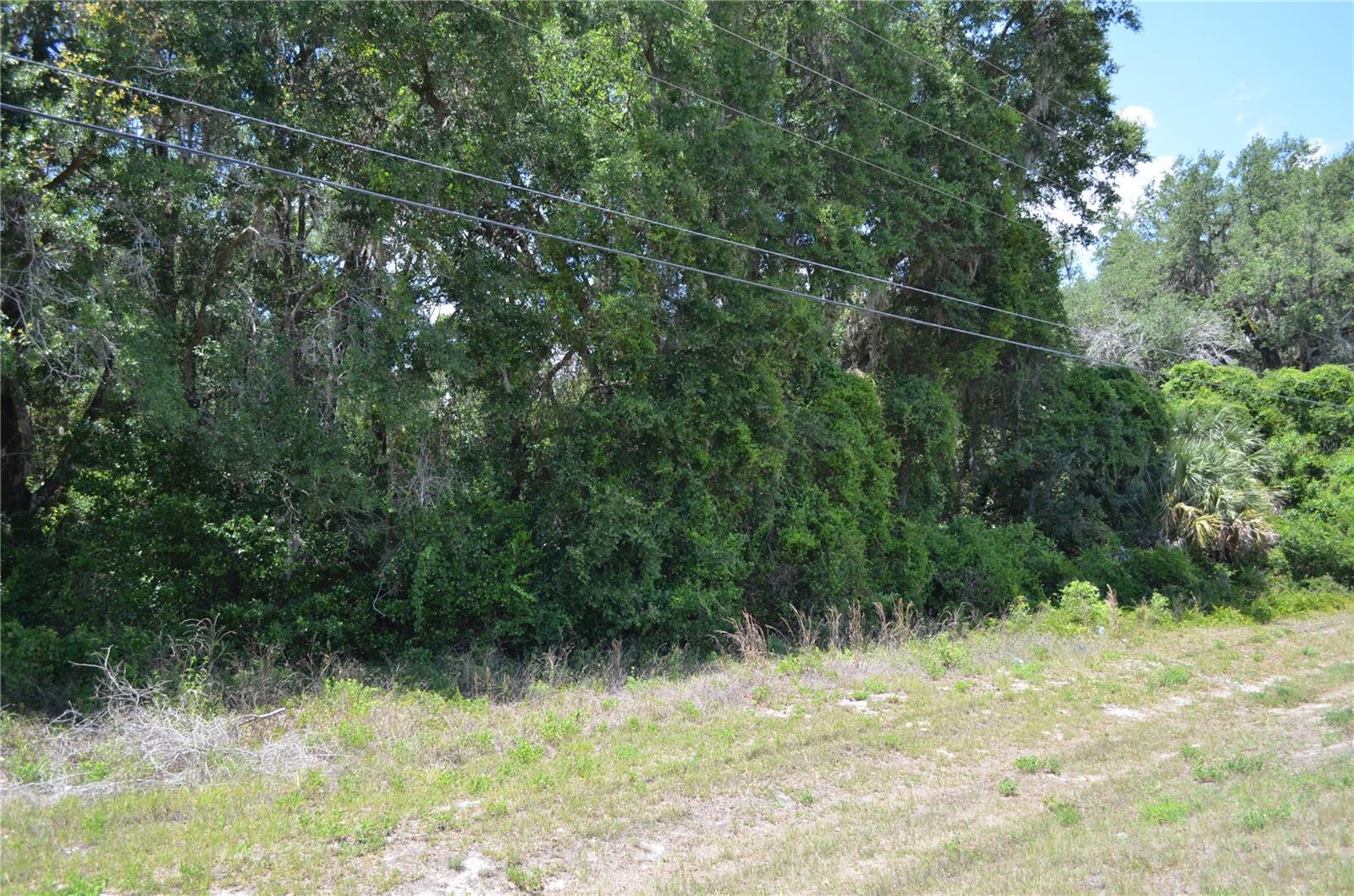 US HWY 301, CITRA, FL, 32113