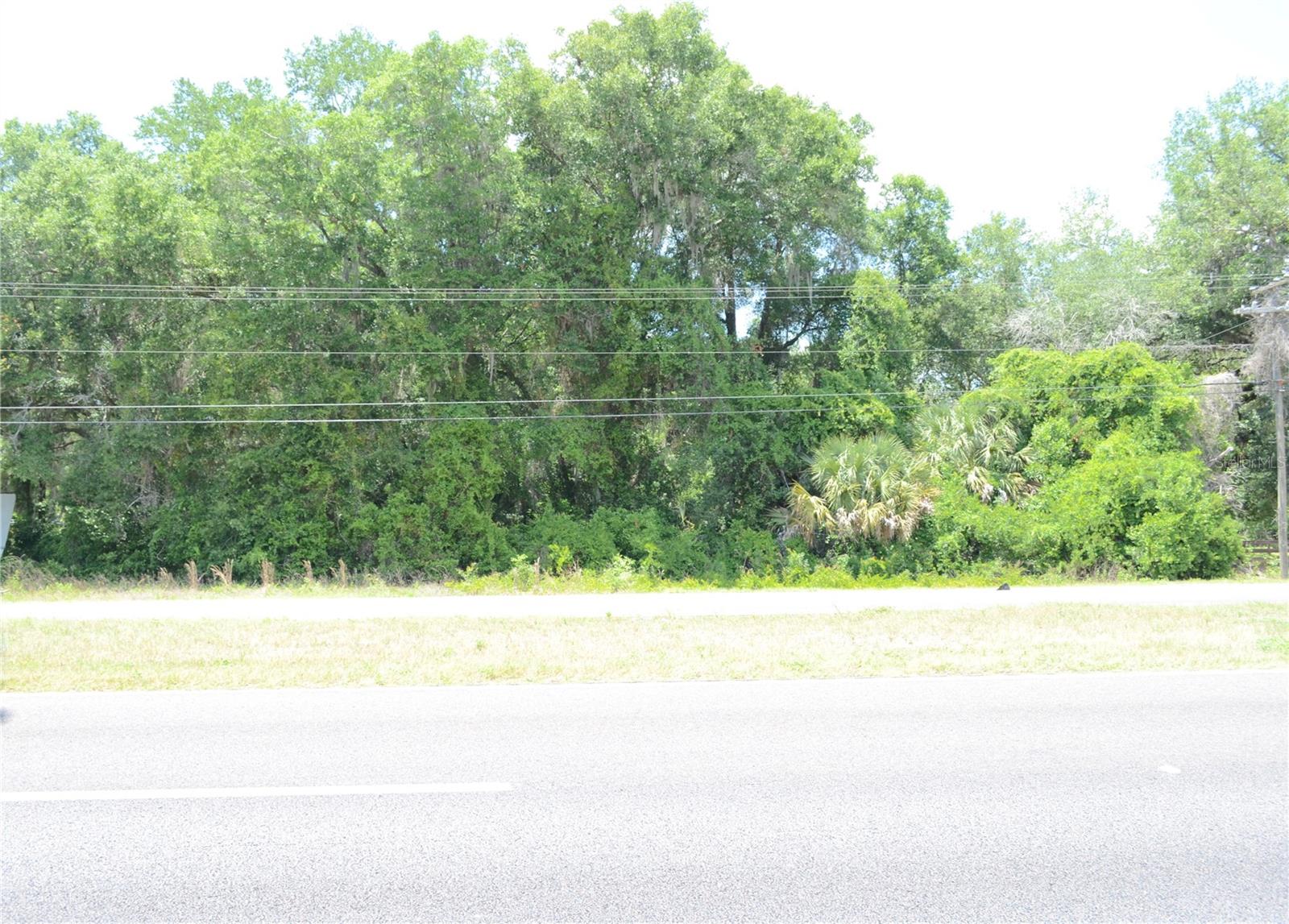 US HWY 301, CITRA, FL, 32113