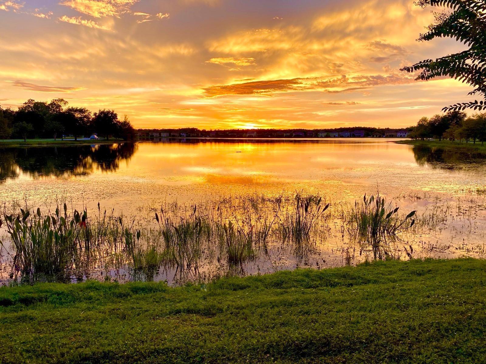10230 LAKE DISTRICT LN #37B, ORLANDO, FL, 32832