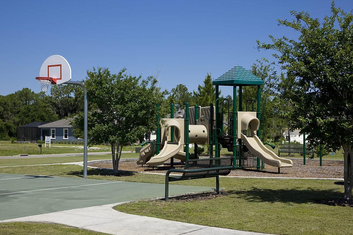 34286 EVERGREEN HILL CT, WESLEY CHAPEL, FL, 33545