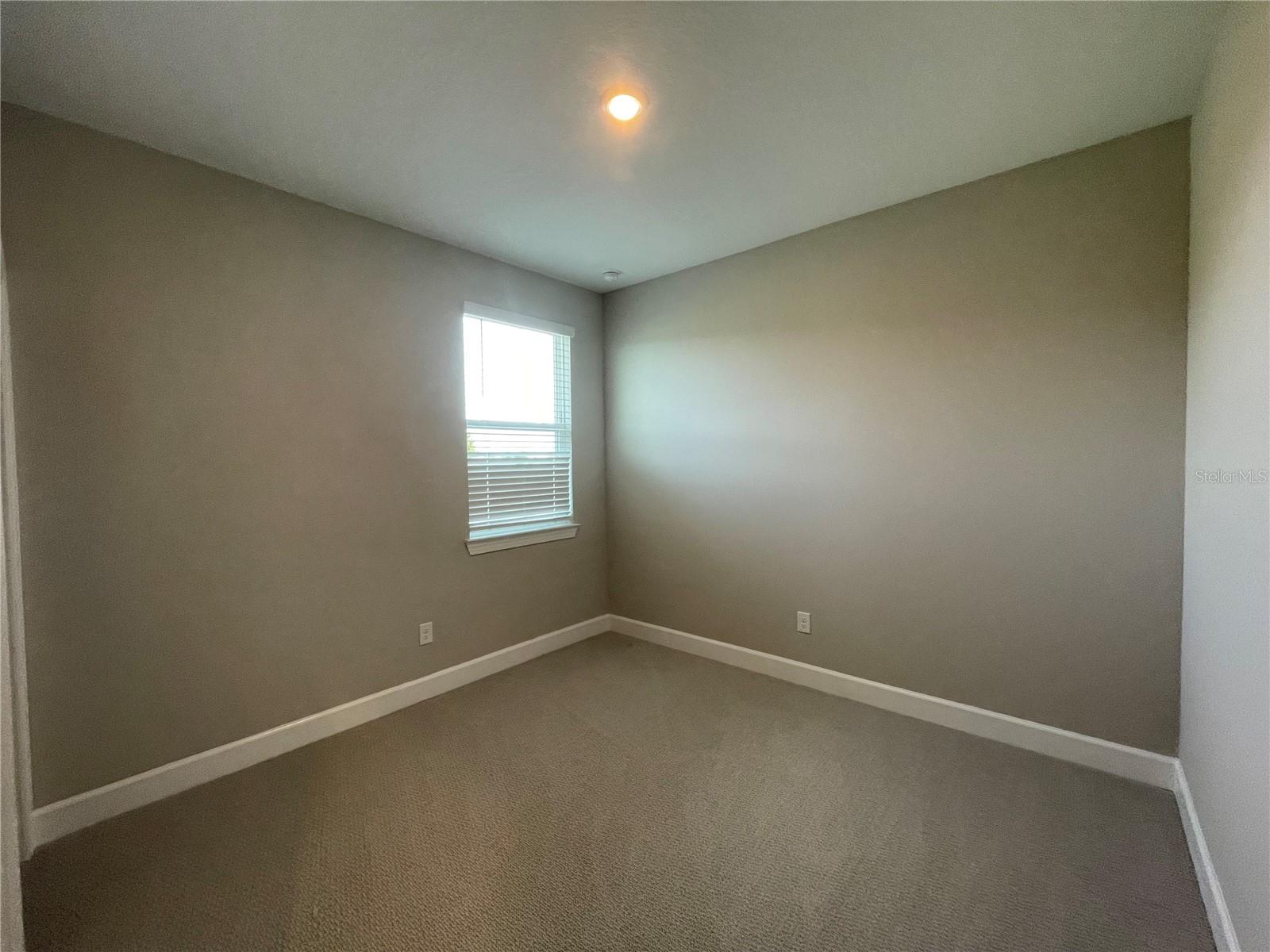 34286 EVERGREEN HILL CT, WESLEY CHAPEL, FL, 33545