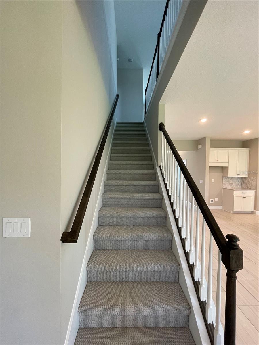 34286 EVERGREEN HILL CT, WESLEY CHAPEL, FL, 33545