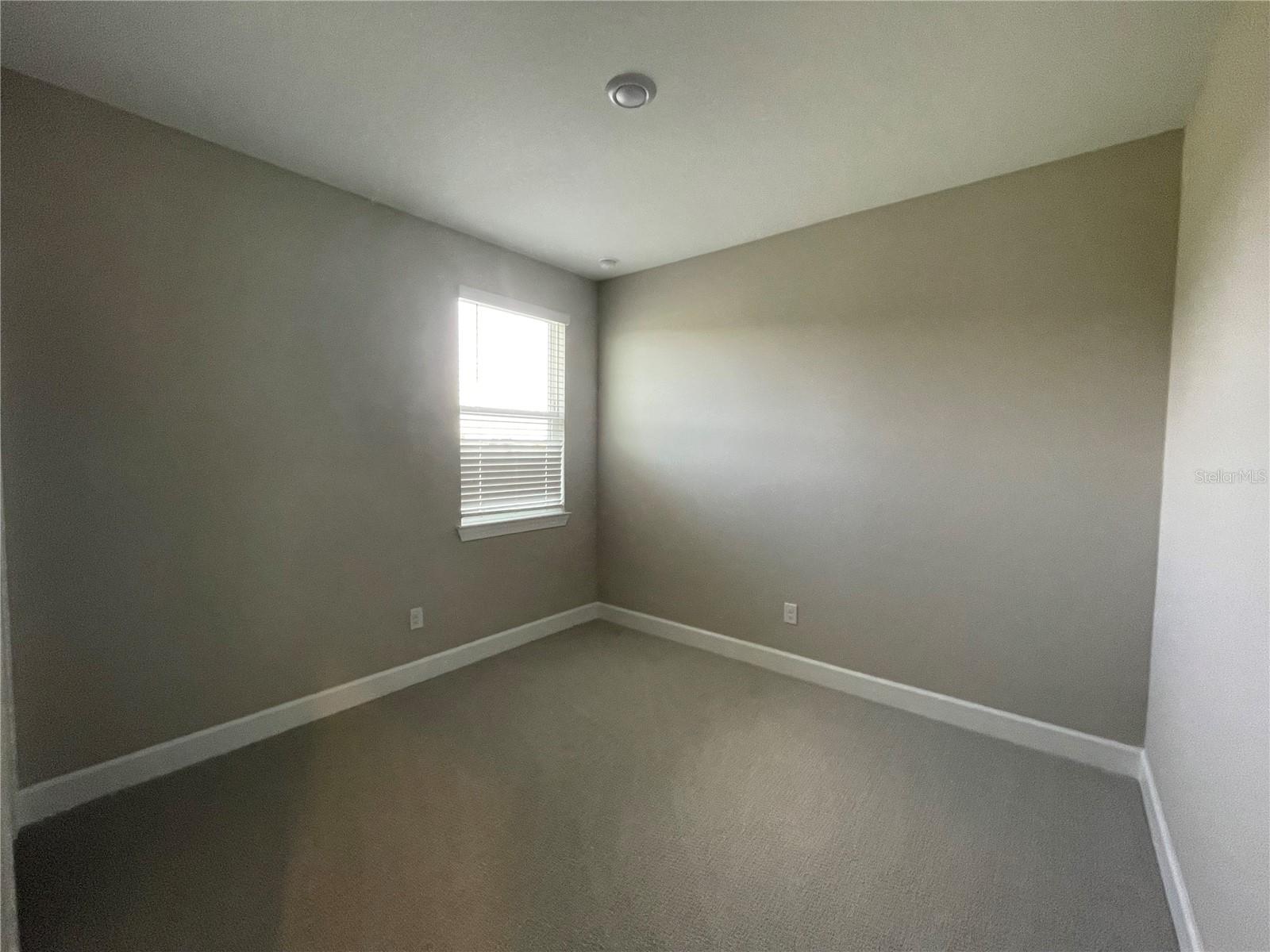 34286 EVERGREEN HILL CT, WESLEY CHAPEL, FL, 33545