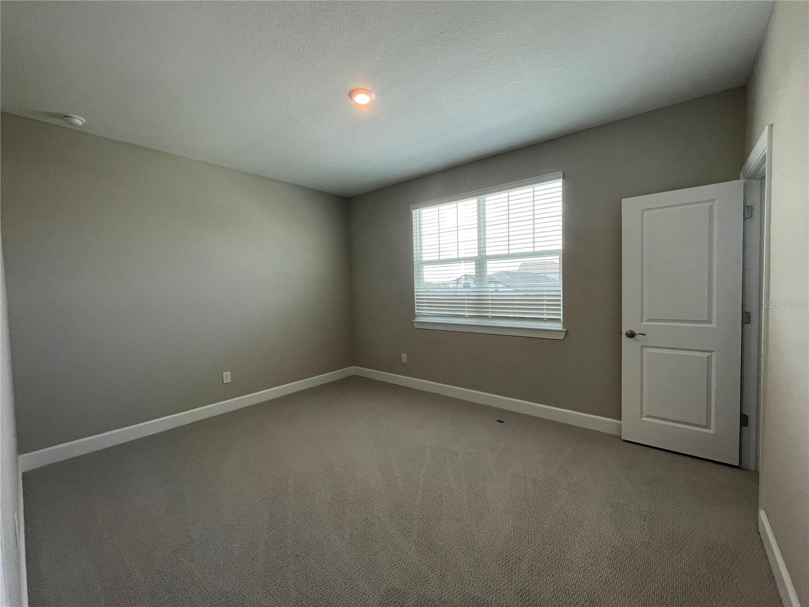 34286 EVERGREEN HILL CT, WESLEY CHAPEL, FL, 33545