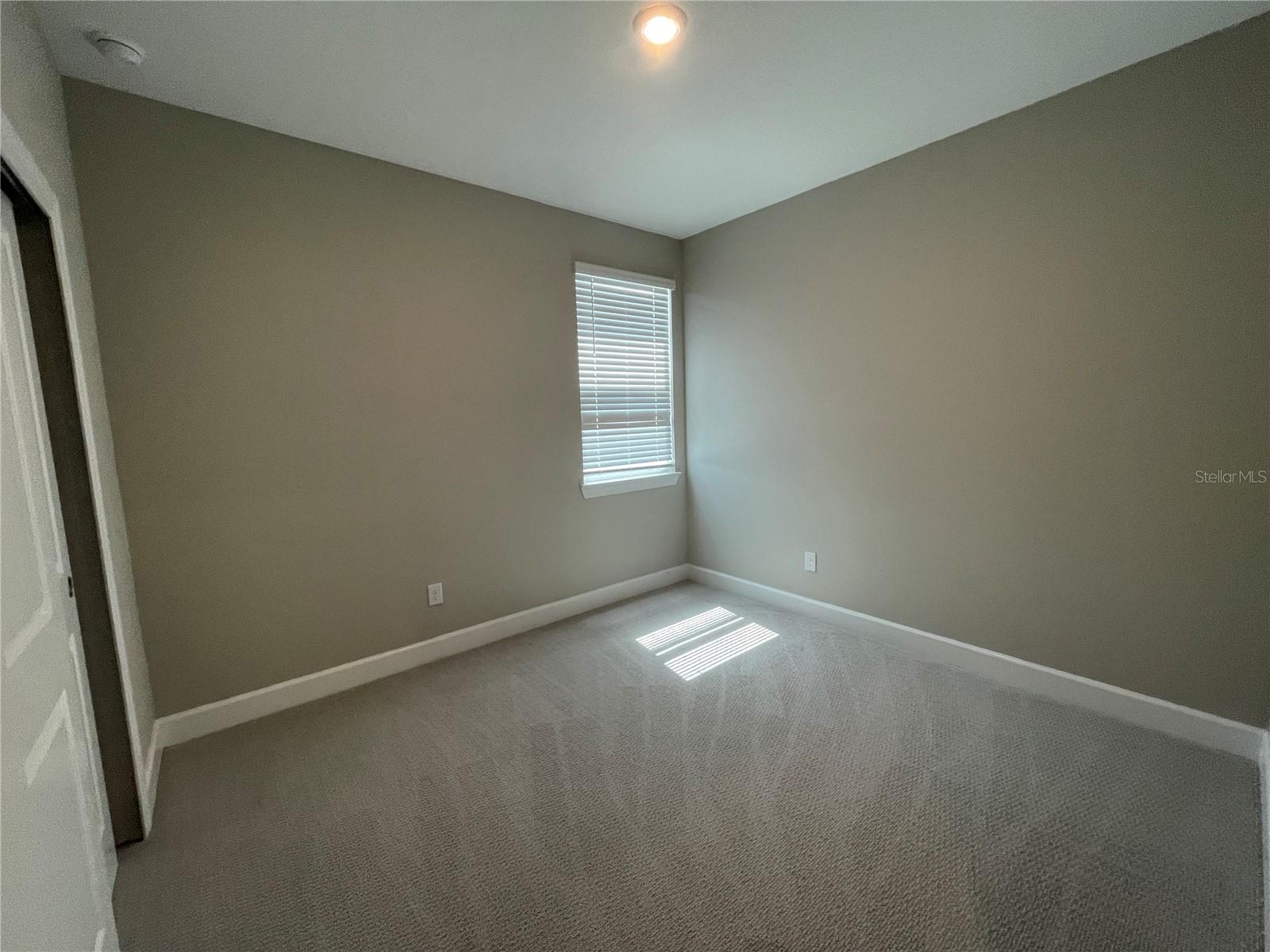 34286 EVERGREEN HILL CT, WESLEY CHAPEL, FL, 33545