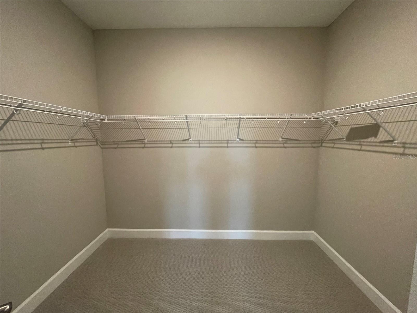34286 EVERGREEN HILL CT, WESLEY CHAPEL, FL, 33545