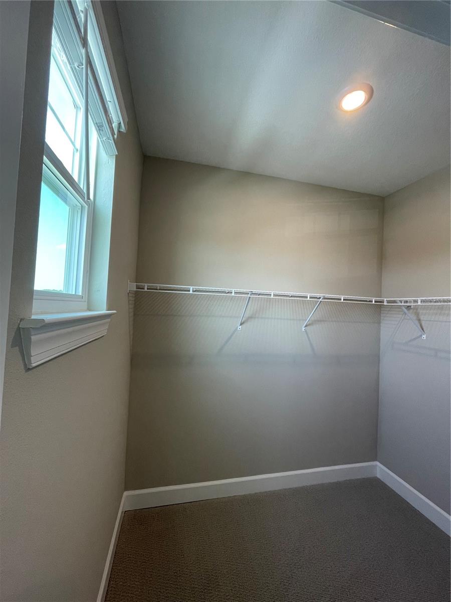 34286 EVERGREEN HILL CT, WESLEY CHAPEL, FL, 33545
