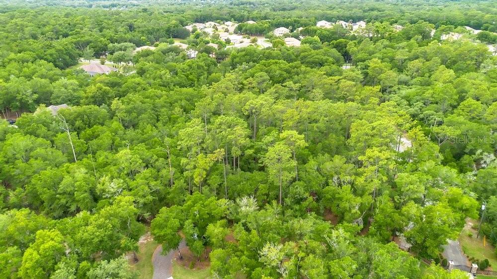 1121 SILVER SADDLE TRL, DELAND, FL, 32724