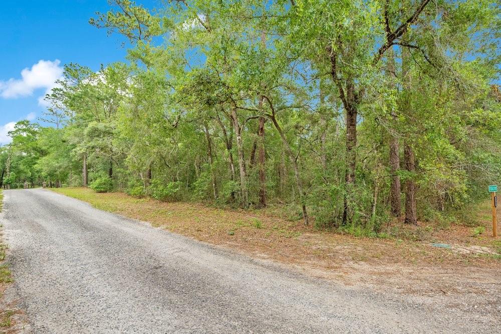 1121 SILVER SADDLE TRL, DELAND, FL, 32724