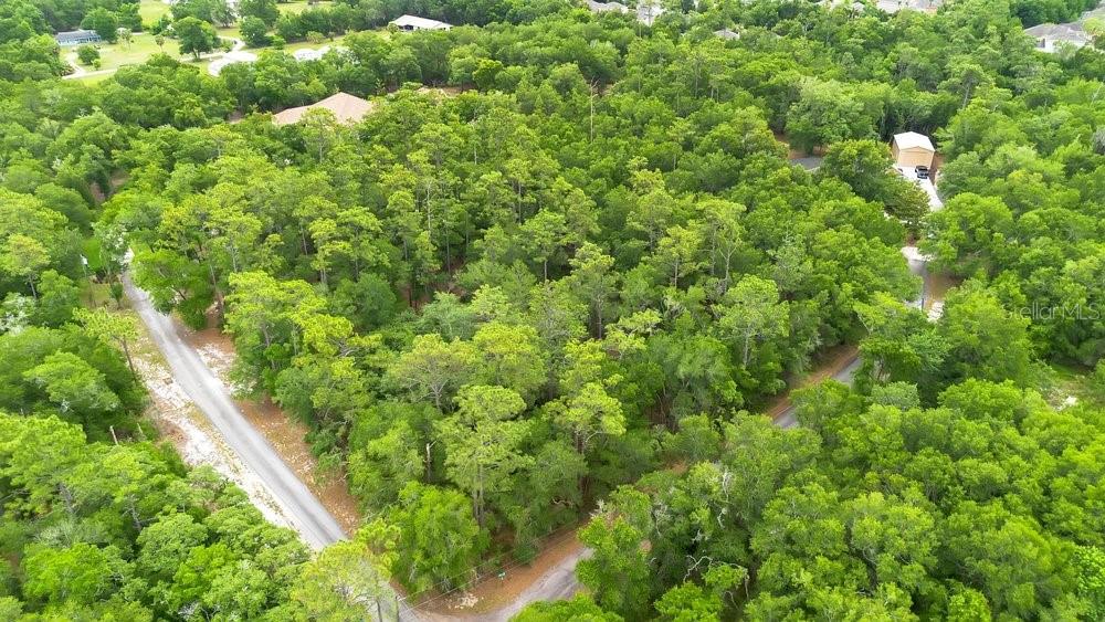 1121 SILVER SADDLE TRL, DELAND, FL, 32724