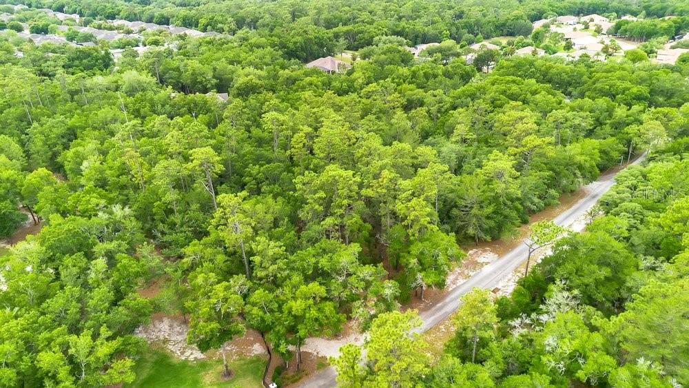 1121 SILVER SADDLE TRL, DELAND, FL, 32724