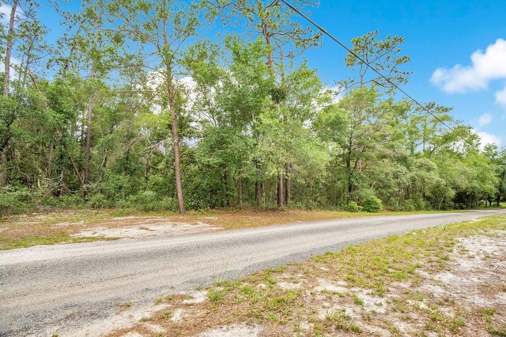 1121 SILVER SADDLE TRL, DELAND, FL, 32724